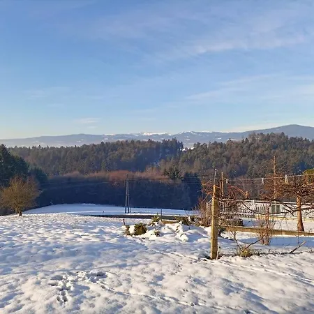 Holiday home Hefentrager Naehe Schilcherweinstrasse *
