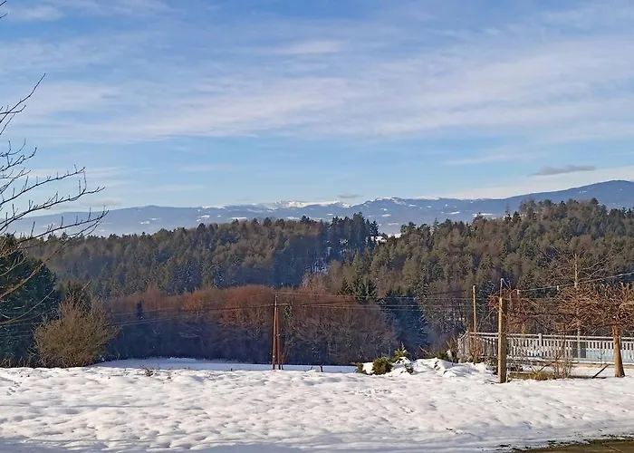 Hefentrager Naehe Schilcherweinstrasse *