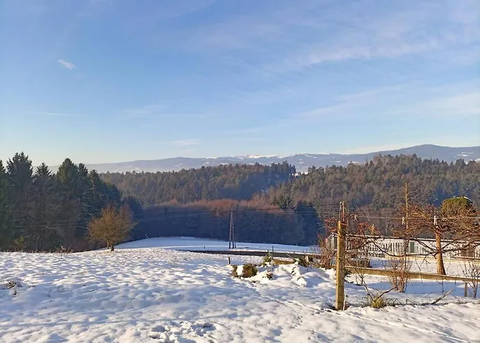 Hefentrager Naehe Schilcherweinstrasse Semesterbostad