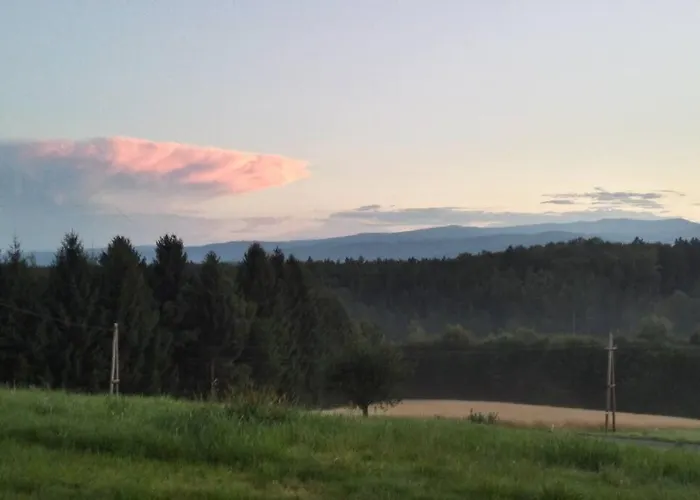 Hefentrager Naehe Schilcherweinstrasse *