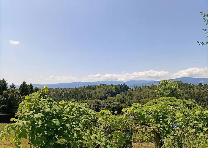 Hefentrager Naehe Schilcherweinstrasse * Stainz